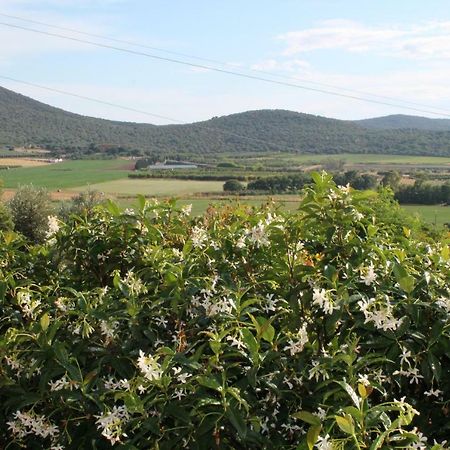 Agriturismo Podere Montenero Альберезе Экстерьер фото